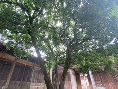 -呈坎景区