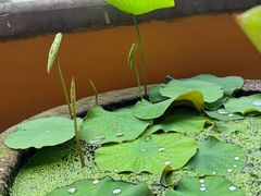 -南北湖风景区