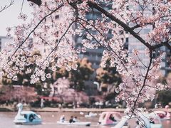 -陶然亭公园