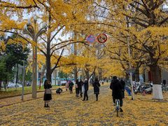 -四川大学(华西校区)