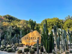 -深圳仙湖植物园
