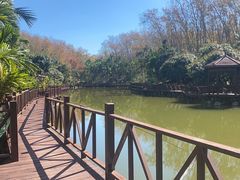 -七仙岭温泉国家森林公园