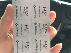-派美特宠物医院·核磁CT·骨科肿瘤·疑难转诊(沈农禾丰店)