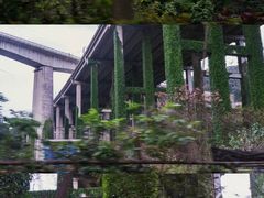 -东莞市大岭山森林公园