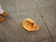 -西安外国语大学(长安校区)