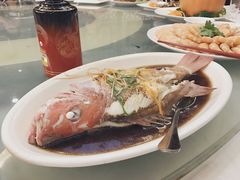 -口衣记鸡饭店