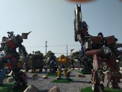 -上海长兴岛郊野公园