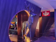 -额尔敦传统涮(公园西路店)