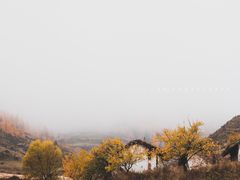 -芦芽山旅游度假区