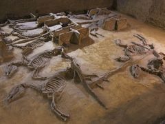 -洛阳周王城天子驾六博物馆