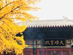-红螺寺