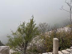 -佛慧山