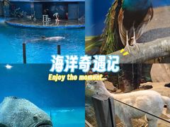 -苏州海洋馆