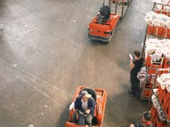 -昆明国际花卉拍卖交易中心