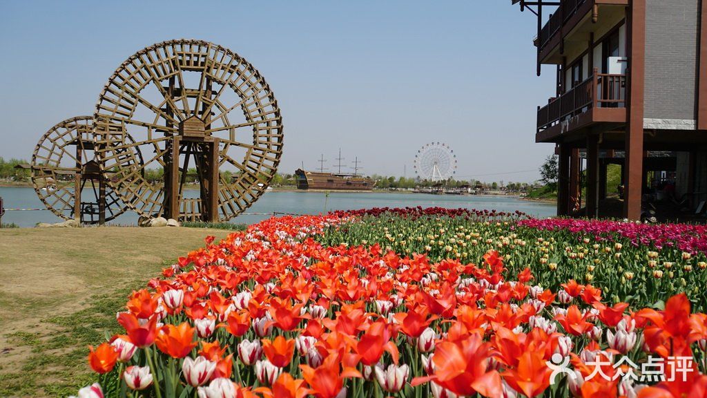 梦中花园——湖北孝感金卉庄园