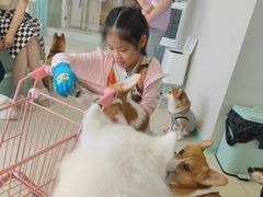 -怪兽屋·羊驼·猫咖·狗咖(俊华广场店)