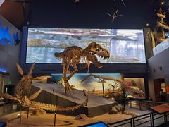 -贝林大翅鲸简餐厅(国家海洋博物馆店)