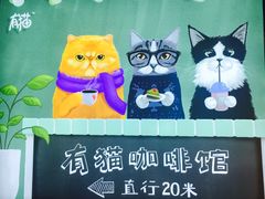 -有猫主题·治愈系猫咖(曾厝垵店)