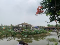 -同銮特种养殖场·龙虾垂钓