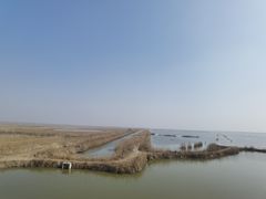 -盐城丹顶鹤湿地生态旅游区