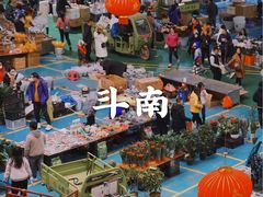 -世界恐龙谷景区