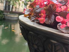 -上海浦东星河湾酒店