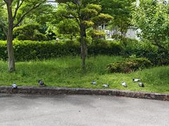 -天王寺公园