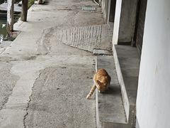-丝绸小镇荻港古村