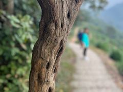 -西湖风景区十里琅珰-五云山