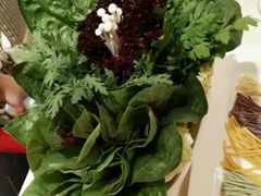 茼蒿-海鲨湾海鲜会馆(百家湖1912店)