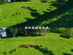 -关山草原