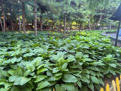 -回龙观体育文化公园