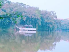 -三水森林公园