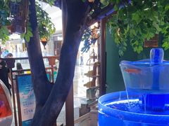 -佬麻雀·剁椒鱼头(京基KK One店)