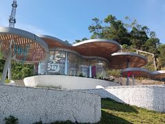 -板樟山森林公园