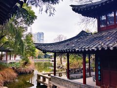 -水绘园