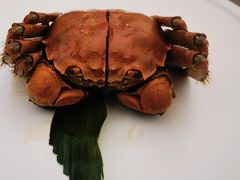 醉熟蟹-苏小柳点心·手作小笼包(浦东嘉里城分院)