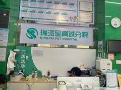 -瑞派动物医院·猫专科·至诚(江南中分院)