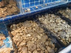 -大厨的餐厅(曾厝垵总店)