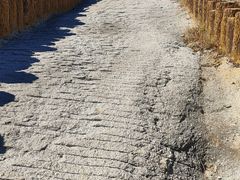 -白水寺森林公园