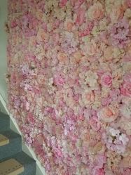 -E.beauty驻颜·痘敏肌调理中心