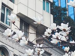 -人民广场