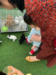 -萌宠亲子动物乐园(槐房万达店)