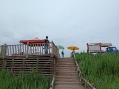 -哈素海