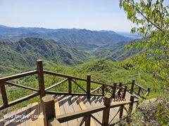 -大岭沟猕猴桃谷风景区