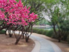 -国家植物园