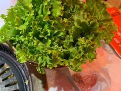 -杨记齐齐哈尔烤肉(总店)