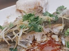 -凤齐羊肉烩面馆