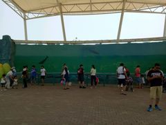 -北戴河圣蓝海洋公园