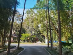 -中国科学院西双版纳热带植物园